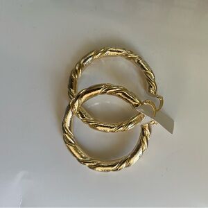 Elegant Gold Hoop Earrings